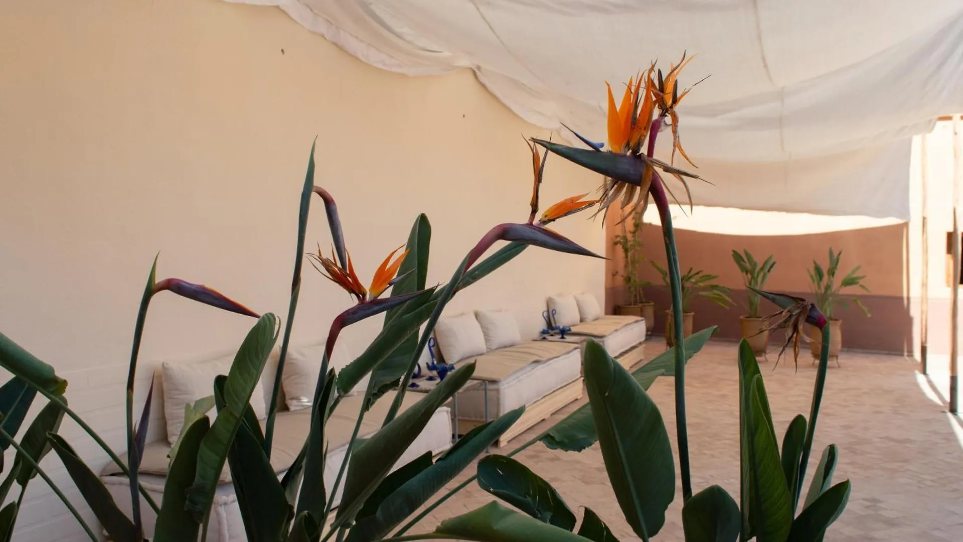 Ferme D'Hote Zomorroda Marrakesh 0*,  Marokko