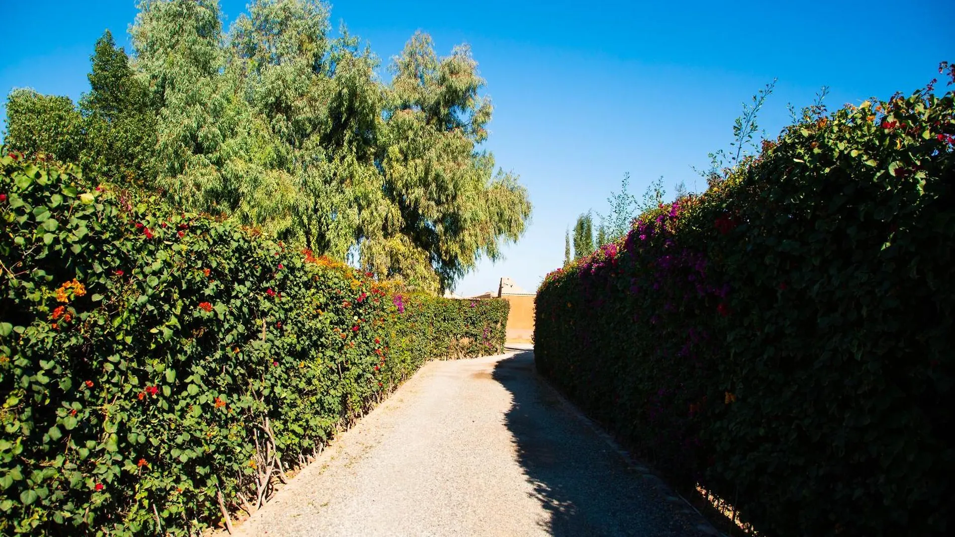 Feriegård Ferme D'Hote Zomorroda Marrakesh