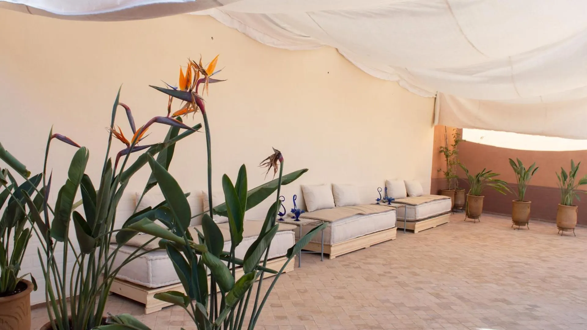 Ferme D'Hote Zomorroda Marrakesh Farm stay